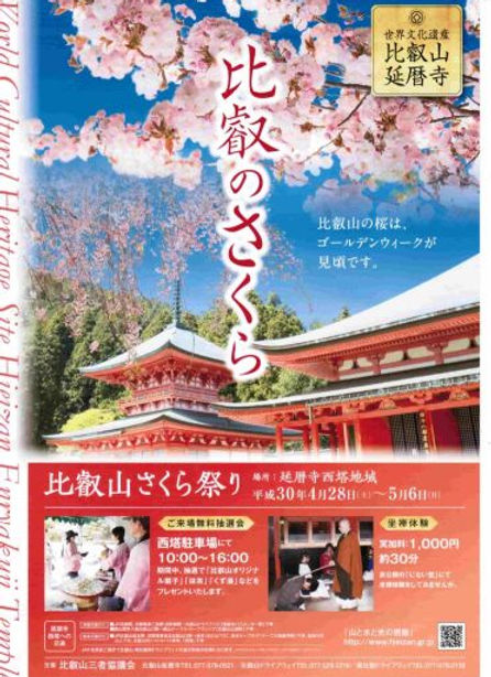 比叡山　延暦寺　さくら