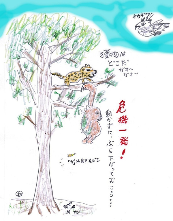 じっとしているのが最大の防御　ナマケモノ