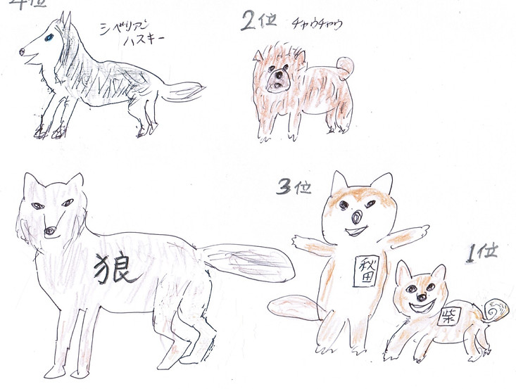 かみほうず 狼 柴犬