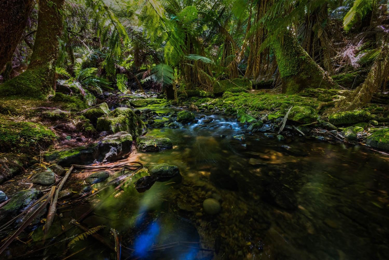 Forrest Stream in Tasmania, Australia