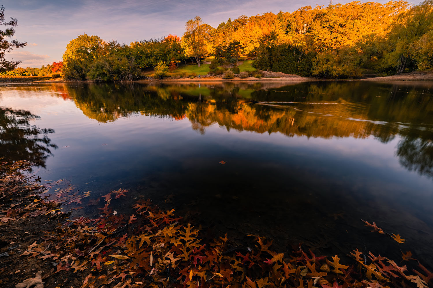 Autumn in the Adelaide Hills