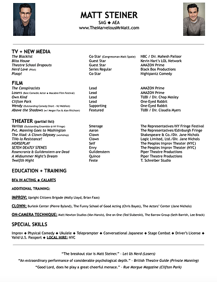 Matt Steiner Resume Image.png