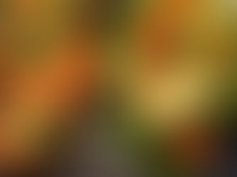 Keto Cajun Shrimp Stuffed Poblano Peppers