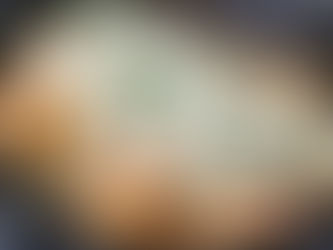 Keto Caramelized Onion Blackened Chicken