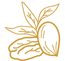 pecan art