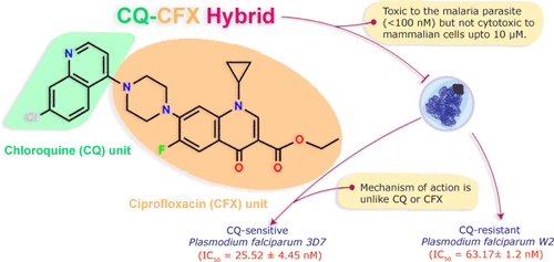 ACS Med. Chem. Lett. TOC.gif