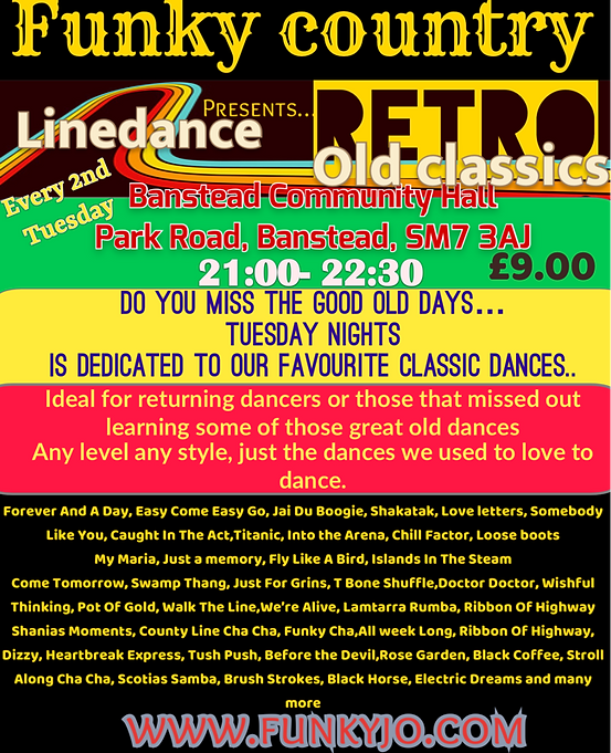 RETRO FLYER.png
