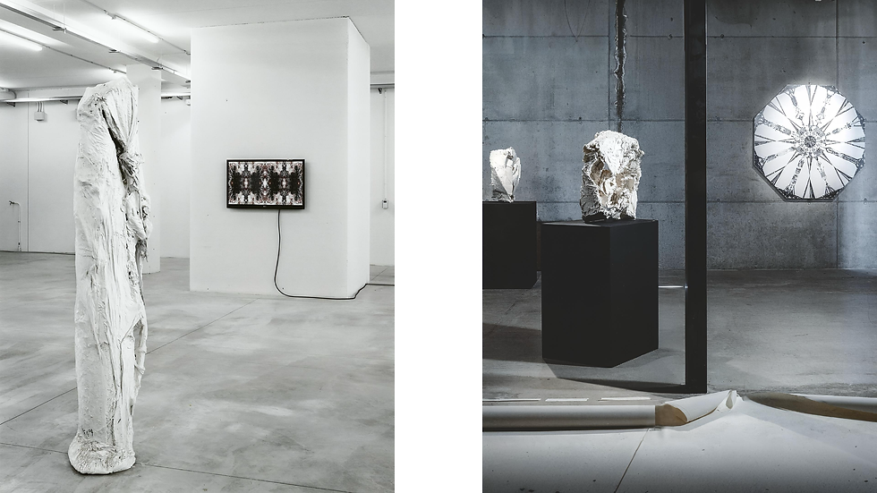 Contemporary art exhibition view at Galleria Gasparelli Arte Contemporanea, Fano — image accompanying the essay “Un corpo estraneo / An Alien Body” by curator and art critic Roberta Bertozzi.