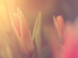 “It is so important to use the mind that The Lord gave us and the voice that The Lord gave us