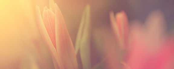 スピリチュアルヒーラー 高次元ワーク 寺尾夫美子 フムアルフート 東京 日本 スピリチュアルヒーラー 高次元ワーク 寺尾夫美子 フムアルフート 東京 日本