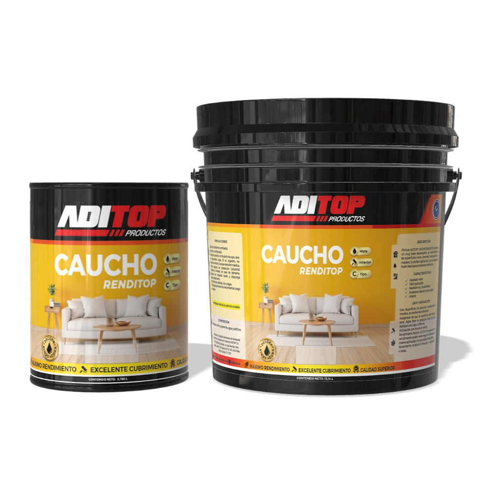 Dos cubos de ADITOP Caucho Renditop
