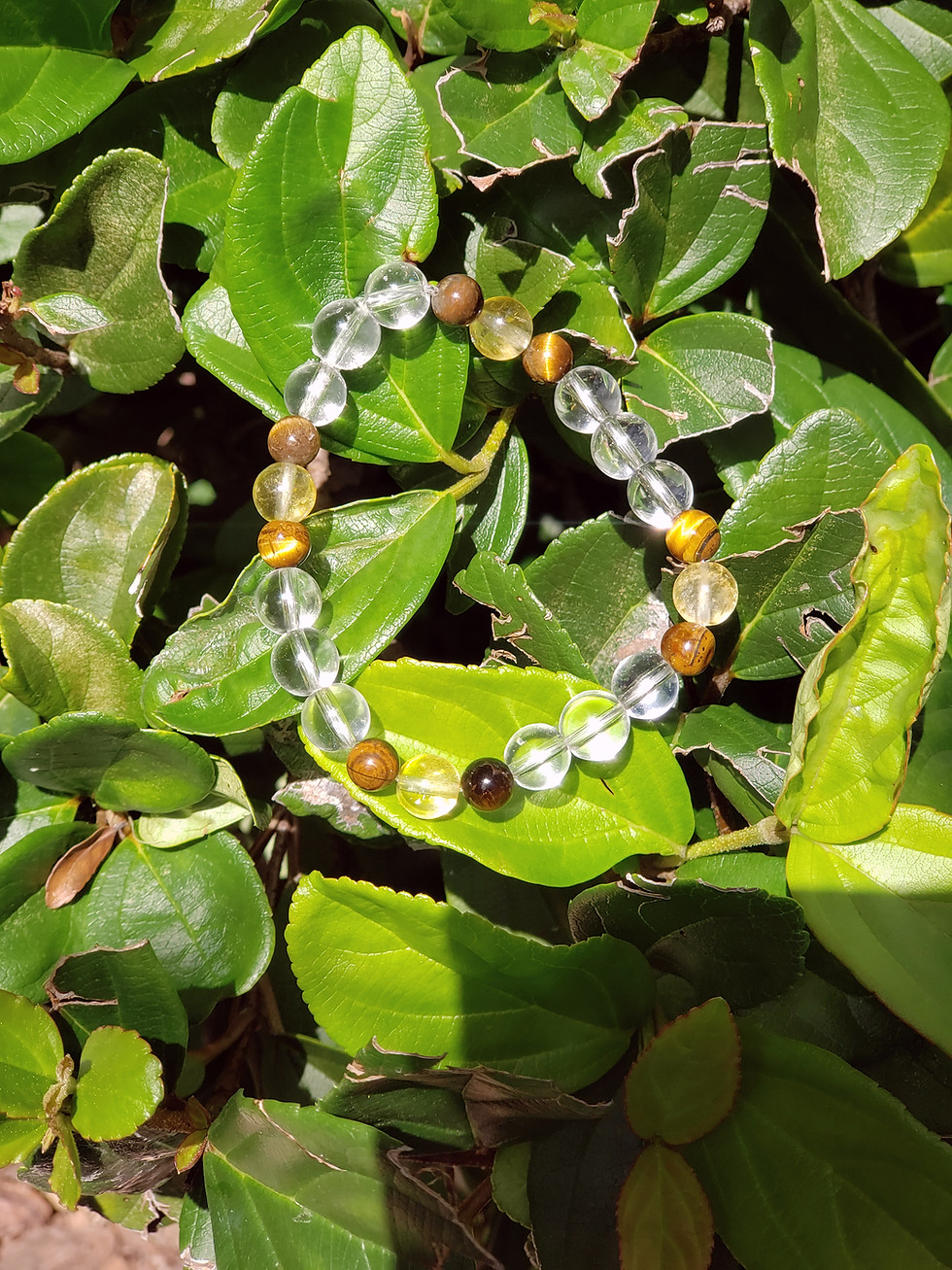Thumbnail: Clear  Quartz  Tigers Eye and Citrine Crystal  Bracelet
