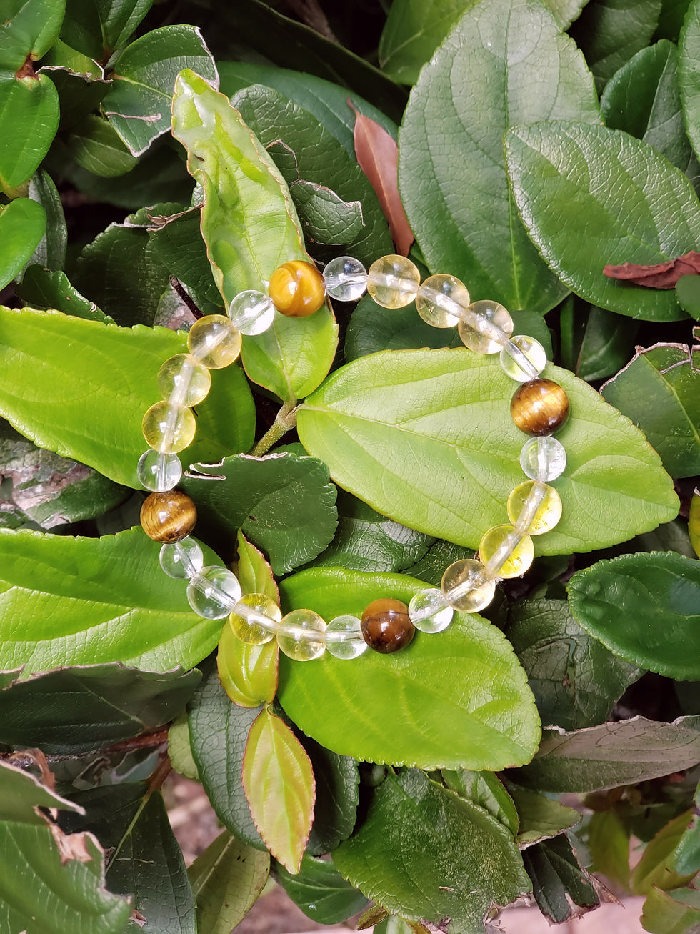 Thumbnail: Citrine Tiger's and Clear Quartz Bracelet  | Chakra Bracele