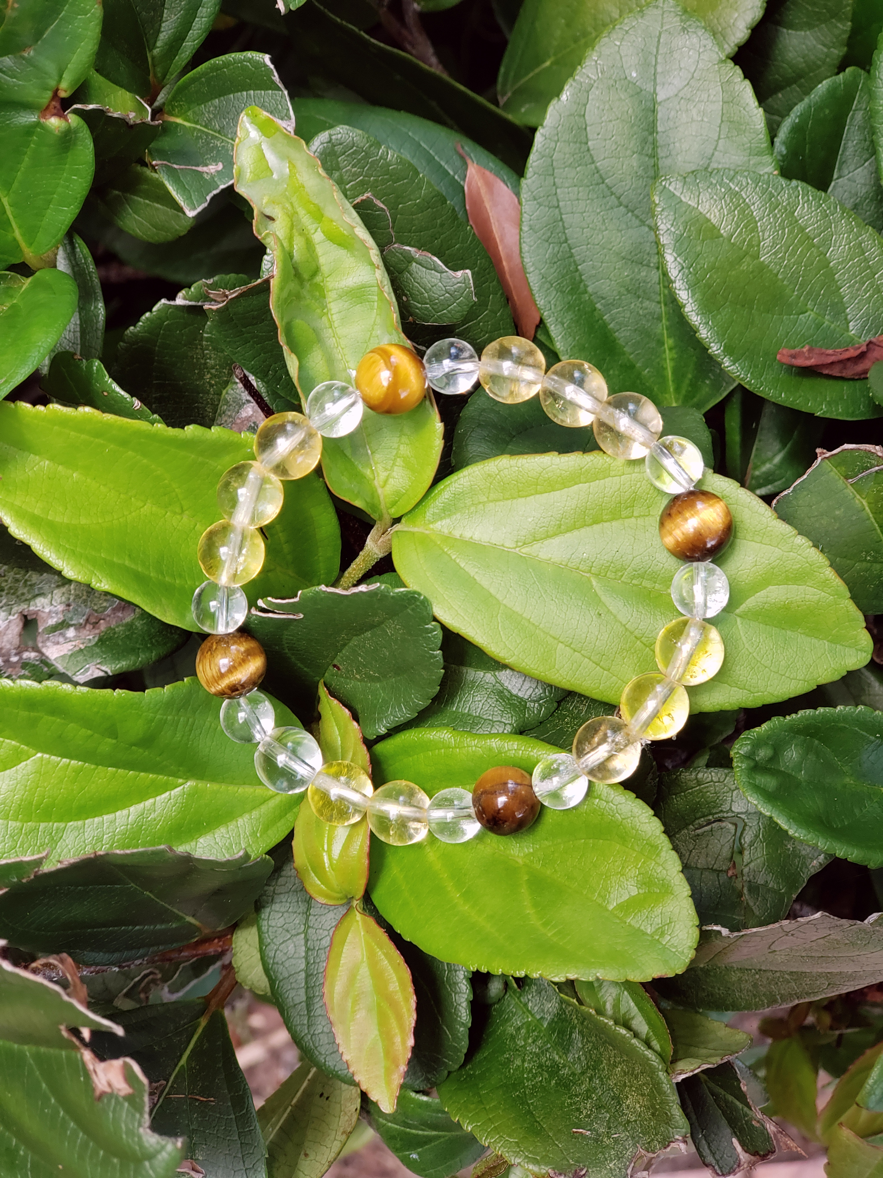 Citrine Tiger's and Clear Quartz Bracelet  | Chakra Bracele
