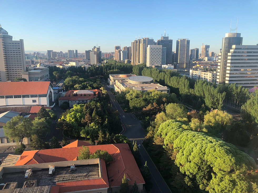 Hohhot, Inner Mongolia, China, view, city, cityscape, green, trees