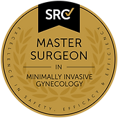 Master Surgeon - Minimally Invasive Gynecologic Surgery