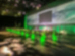 Aer Lingus rebrand by Verve