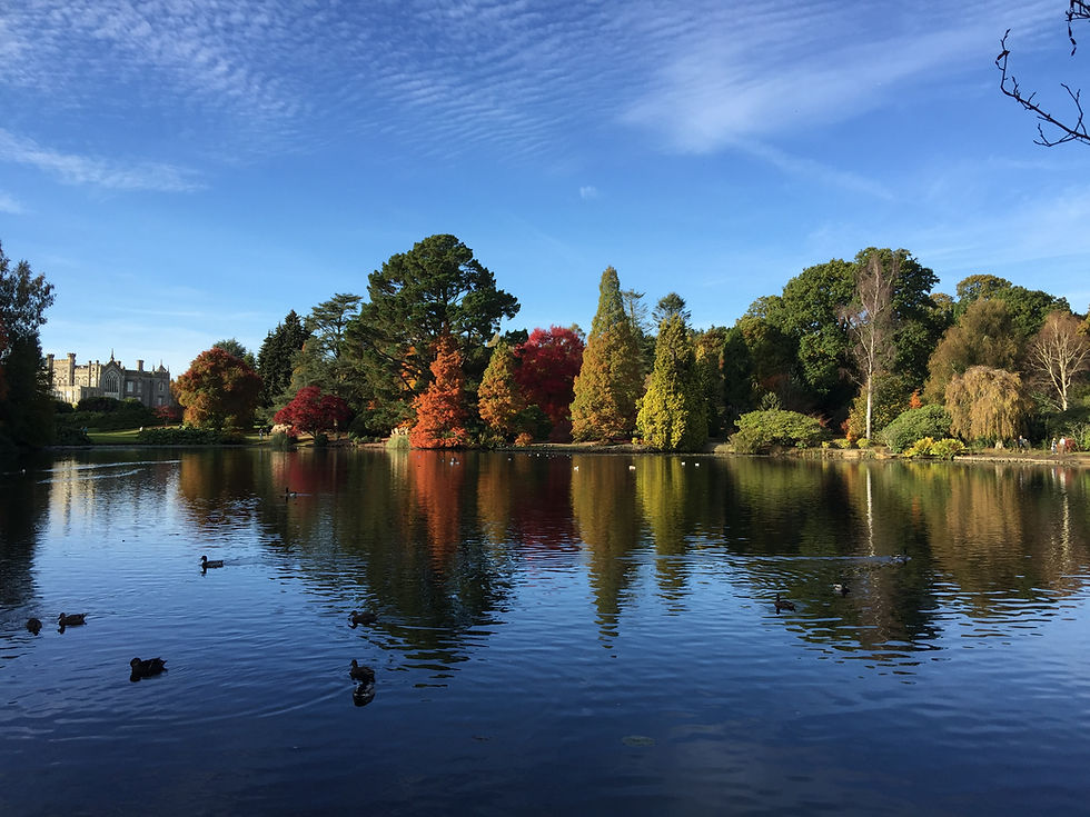 Sheffield Park near White Lodge B&B