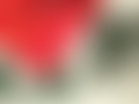 Bok om Inga og Ottar Lie