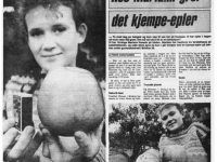 Kjempeepler i Brinken 39