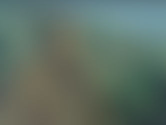 Alf Bastiansen er død