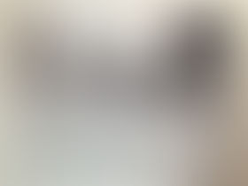 Nyborg i Evens gate 2