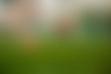 Futebol profissional é afetado por crise financeira gerada pela pandemia