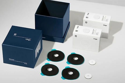 What's in Lingo Box