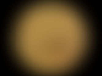 Introdução aos signos - Capricórnio