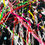 Miniature : Abstract-9 AT6 Alexandre TRUBERT