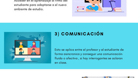 ¿Qué es AVA y OVA?