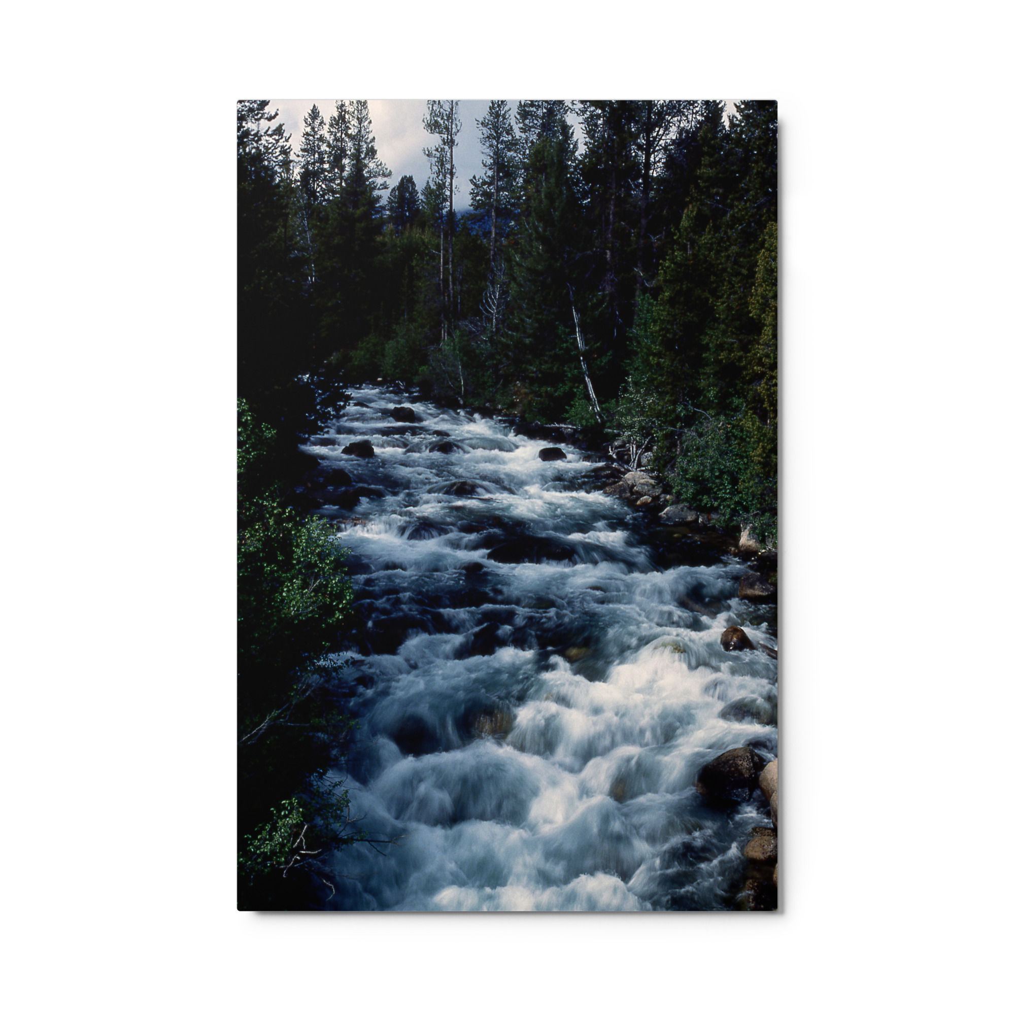 Mountain Pulse – Little Redfish  | Premium Metal Print