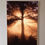 Thumbnail: Golden Pine Portal | Sunrise Rays Through Mist