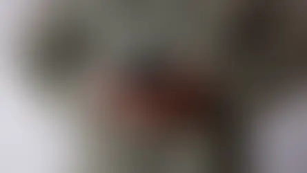 The White House is seeking to limit foreign powers' capacity to purchase sensitive personal data of Americans through the implementation of an executive order.