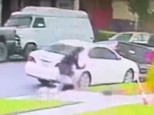 A woman in Long Beach was attacked by her neighbor's pit bull mixes, resulting in the tragic death of her cherished dog.