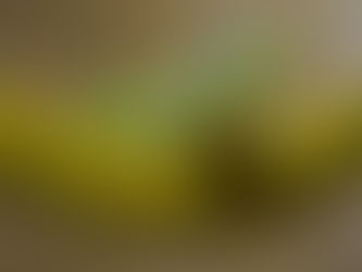 2025 թվականը հիանալի տարի կլինի. աստղագետները պատմել են, թե ում համար է Կանաչ օձը պատրաստել իր նվերները