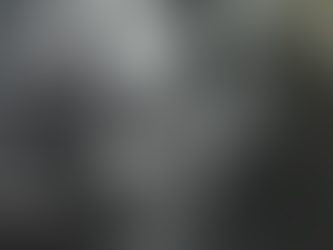 Շահան Նաթալին մտածում էր զինված պայքարի միջոցով ստիպել Թուրքիային ընդունել հայ փախստականների Արևմտյան Հայաստան վերադառնալու իրավունքը։