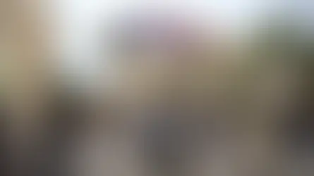 A lawsuit alleges that a doctor passed away following a meal at a restaurant in Disney World, despite assurances from staff that the food was free of allergens.