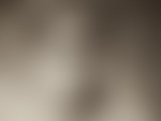 Այդ վայրկյանին ամենքը տեսան, թե ինչպես գնդապետ Մազմանյանի ստվերը համր քայլերով ծածկված, արնաշաղախ գլխով, անցավ նստարանների միջից