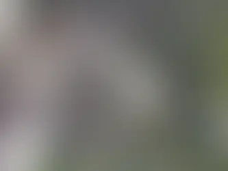 Helicóptero cai em São Paulo e mata quatro pessoas