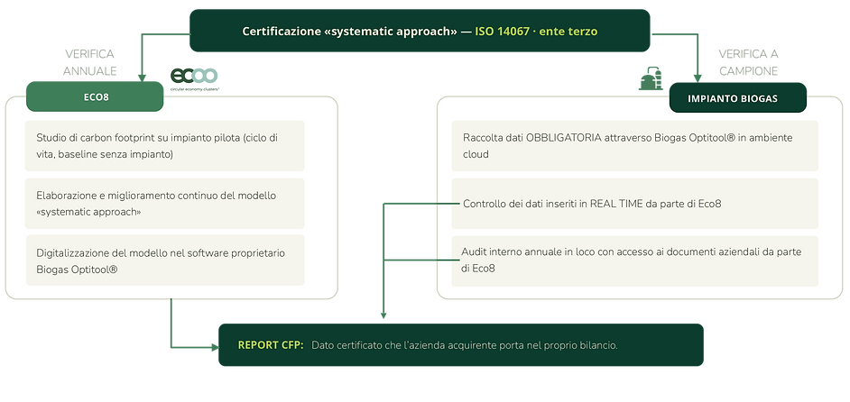 1Tavola disegno 5_3x_edited.png