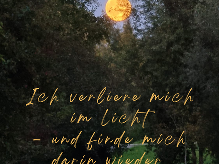 gelber Supermond, in einer Lichtung
