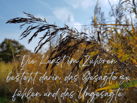 Schilfhalm vor wunderschönen Herbst Farben