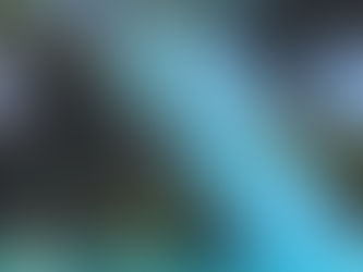 Brendan Murphy supports Hawaii Pacific alma mater with original painting