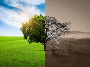 Interview: Public Health and Climate Change with Gillian Capper of the APHA