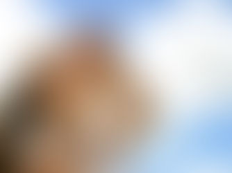 Air Pollution Concepts for Kids