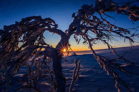 _MG_2325.jpg