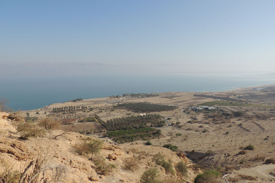 מדבר יהודה - פרויקט הילה