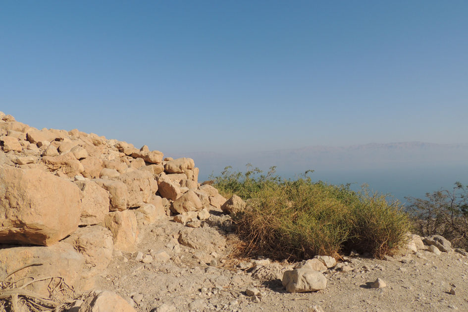 מדבר יהודה