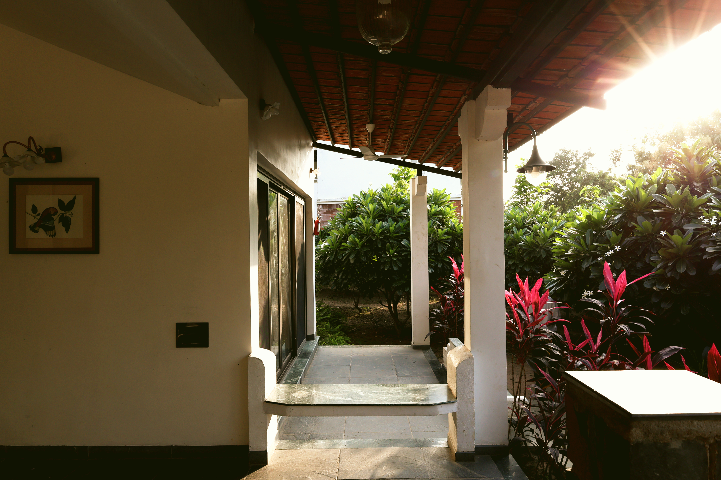 3J6A6498_edited.jpg